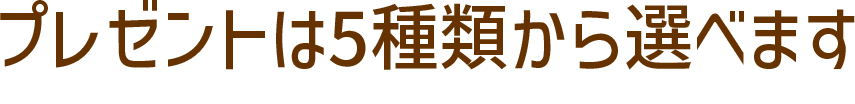 プレゼントは5種類から選べます