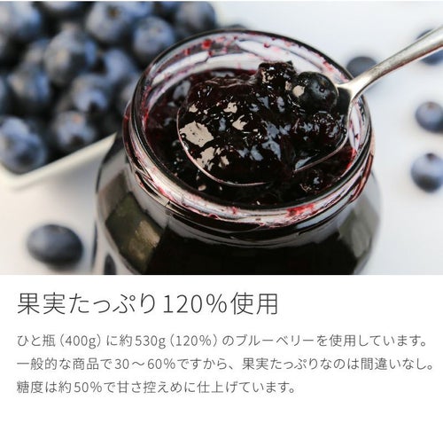 自然農法 ブルーベリージャム 400g 農薬不使用 除草剤不使用 化学肥料 