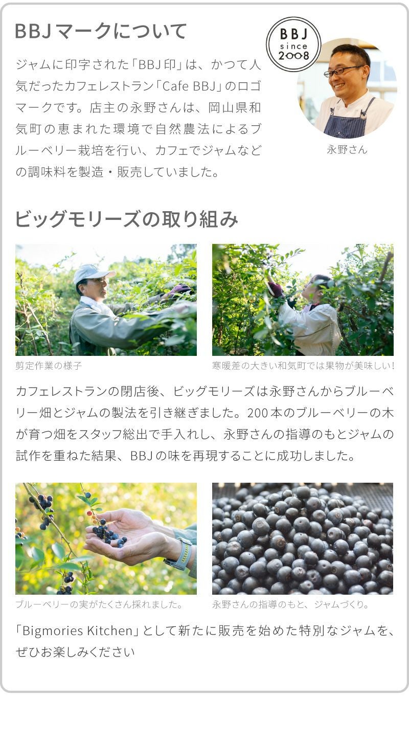 ジャム用ブルーベリー販売　（農薬無使用） ジャム用にどうぞ】農薬不使用で栽培した冷凍無選別ブルーベリー 500g