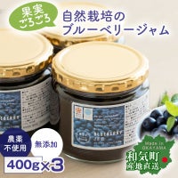 農薬を使わないブルーベリージャム