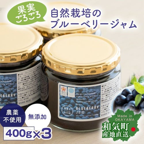 農薬を使わないブルーベリージャム