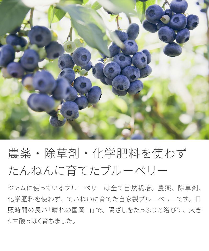 自然農法 ブルーベリージャム 400g x3個パック 農薬不使用 除草剤不