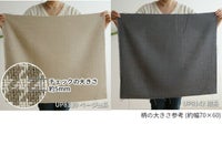 ブルテリアチェック