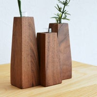 トリオウォルナット