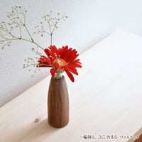 コニカルSウォルナット