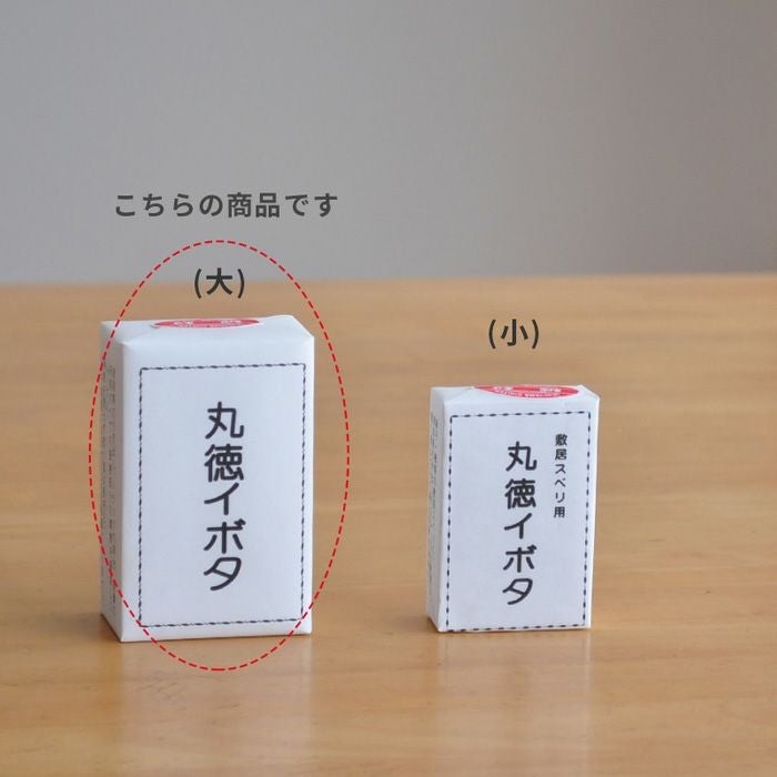 丸徳イボタ(大)