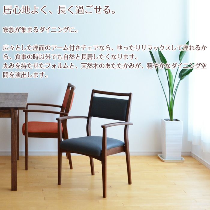ダイニングチェア スタッキングチェア 2脚セット 肘付き 肘掛け付き