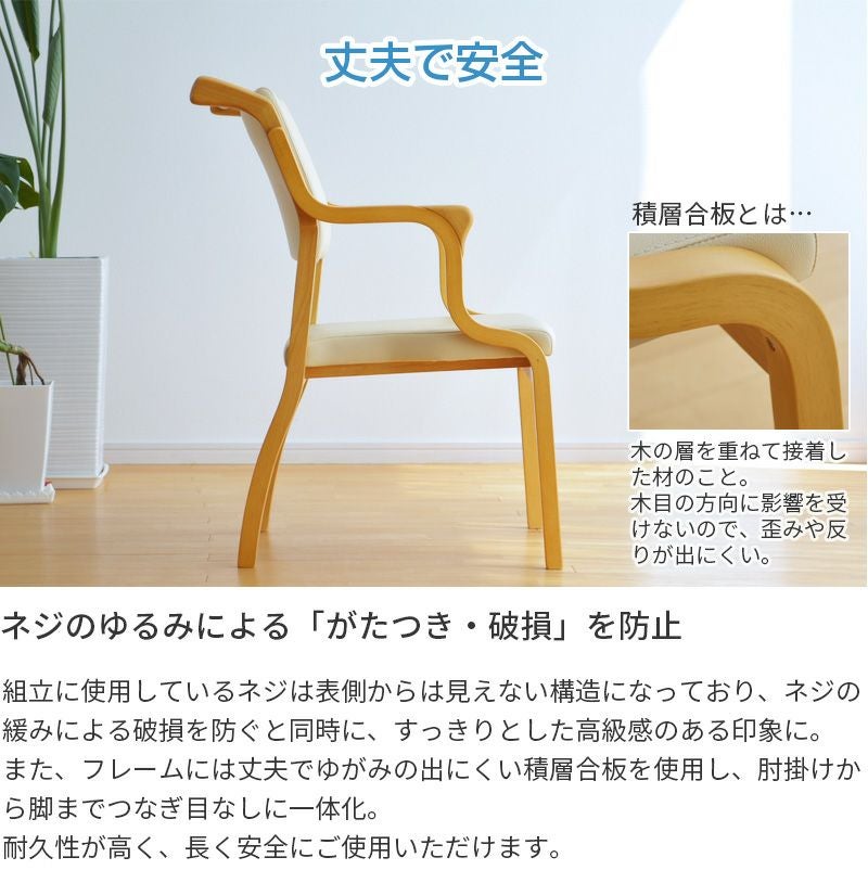 介護椅子 ケアチェア 手すり付き Care-114-AC | Bigmories オンライン
