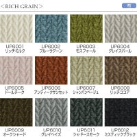 リッチグレイン