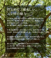 ユーシュセミダブル