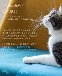 いす生地