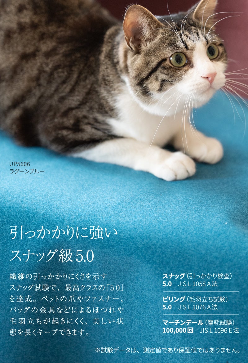 いすはりーず 2枚まで1送料／ベンチサイズ／椅子 生地 単品 ペット対応