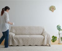 グレーダンデライオン