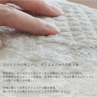 グレーダンデライオン