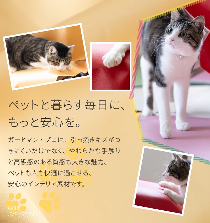 いすはりーず 2枚まで1送料／ ベンチサイズ／椅子 生地 単品 ペット