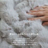 ラビットファータッチこたつ布団