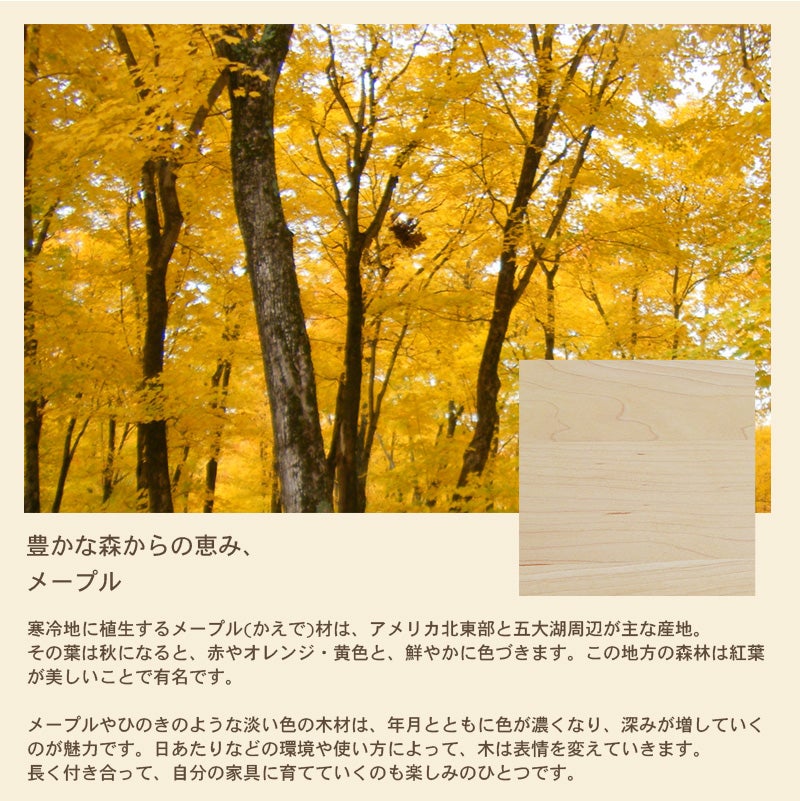 マルバデスク100
