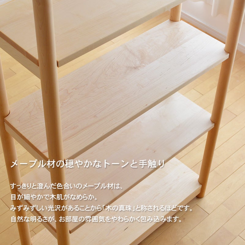 マルバシェルフ