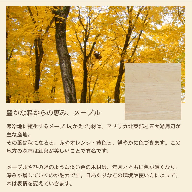 マルバシェルフ