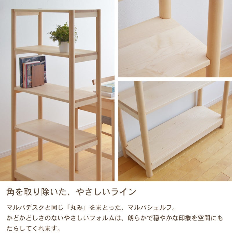マルバシェルフ