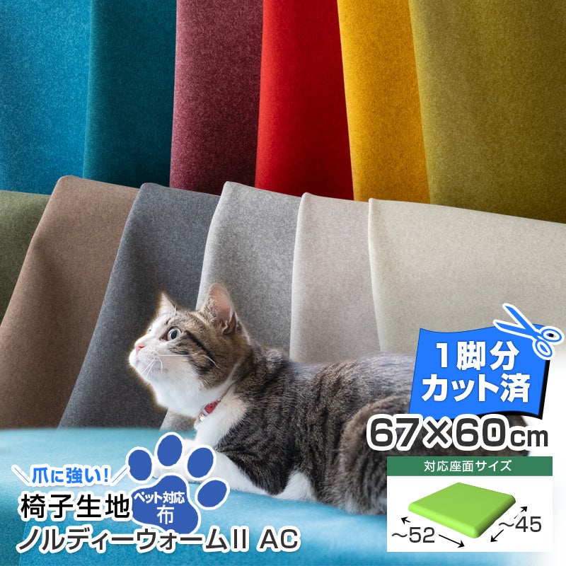 いす張り