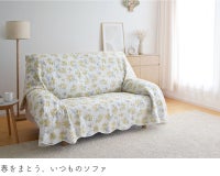 ミモザ プランタン