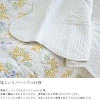 ミモザ プランタン