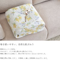 ミモザ プランタン
