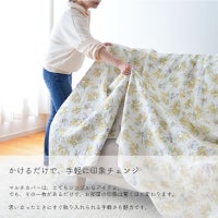 ミモザ プランタン