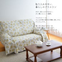 ミモザ プランタン